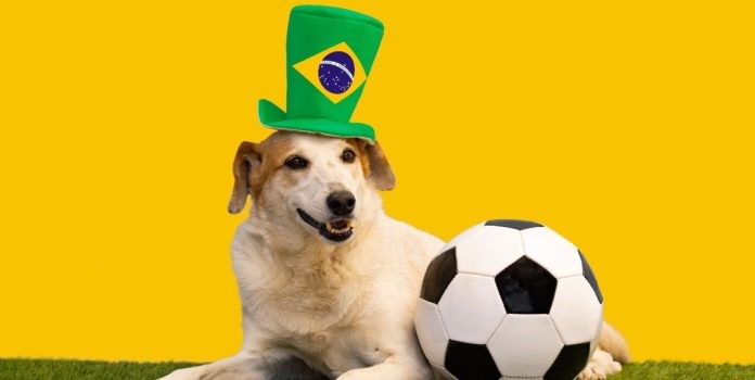 Rio Jogo es la quinta plataforma de apuestas regulada de Loterj en Río de Janeiro.